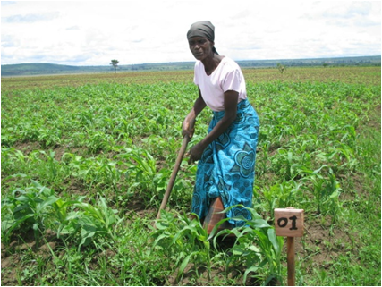 farmer
