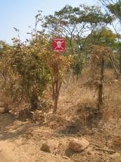 F:\Angola\Watanuki\21年度 (2009) 案件関連\21 COOPIL\H21 COOPIL 現地調査\COOPIL photos 09 Agt\Cuchi\IMG_2803.JPG